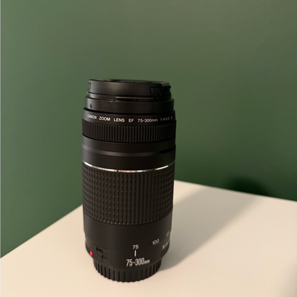 Canon EF 75-300mm / 4-5.6 III Lens